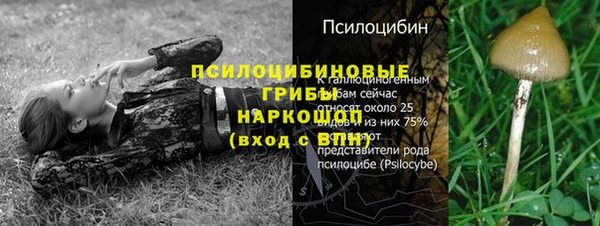 спайс Армянск