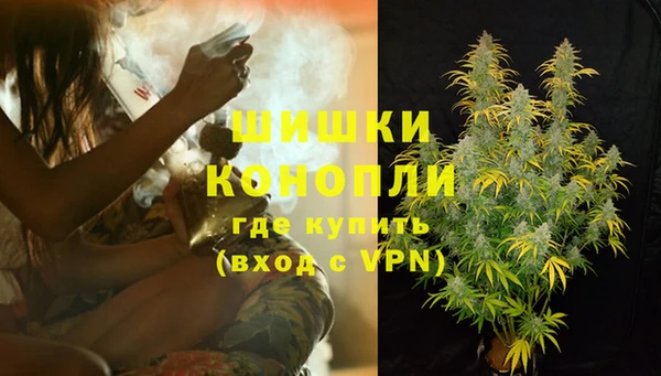винт Аркадак