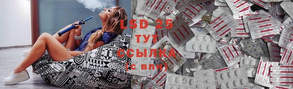 ГАЛЛЮЦИНОГЕННЫЕ ГРИБЫ Покров