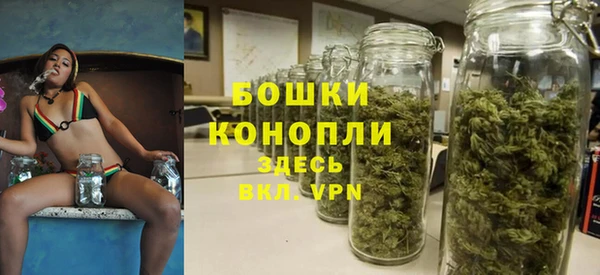 винт Аркадак